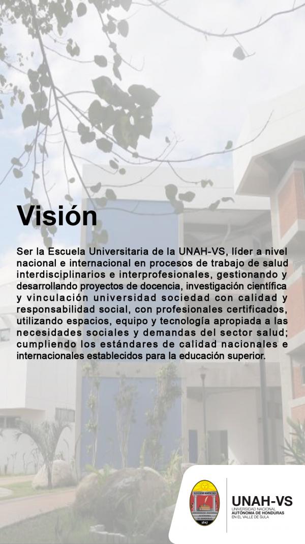 Vision EUCS3
